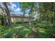 Backyard featuring lush green ground cover, mature trees, and stone pathway around the house at 511 Duque Rd, Lutz, FL 33549