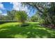 Expansive backyard with a manicured lawn and mature trees providing ample shade and a beautifully landscaped garden at 511 Duque Rd, Lutz, FL 33549