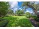 Lush backyard with green grass, a mature tree, and manicured shrubbery creating a serene outdoor space at 511 Duque Rd, Lutz, FL 33549