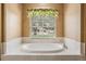 Close-up of soaking tub with arched window providing ample natural light and neighborhood view at 5283 Bevens Ave, Spring Hill, FL 34608