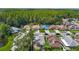 Community shot showcasing well-spaced homes surrounded by lush greenery and mature trees at 6001 Lemon Tree Ct, Tampa, FL 33625