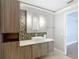 Contemporary bathroom with a modern vanity, stylish lighting, and ample cabinet space at 6001 Lemon Tree Ct, Tampa, FL 33625