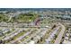 Aerial view of a neighborhood featuring mature trees and a community lake at 1207 Chevy Chase Dr, Sun City Center, FL 33573