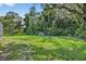 Lush green backyard with mature trees and a shed in the distance at 1357 Dinsmore Ct, New Port Richey, FL 34655