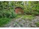 Rustic backyard shed nestled among lush greenery at 1357 Dinsmore Ct, New Port Richey, FL 34655