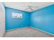 Bedroom with blue walls, carpet flooring, and a ceiling fan with light at 1813 Bough Ave # B, Clearwater, FL 33760