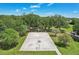 Aerial view of a well-maintained basketball court surrounded by lush greenery at 19113 Golden Cacoon Pl, Lutz, FL 33558
