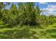 Lush backyard with mature trees and green grass at 28568 Tranquil Lake Cir, Wesley Chapel, FL 33543