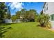 Lush backyard with healthy lawn, mature trees, and white vinyl fencing, perfect for relaxing and entertaining outdoors at 321 Barbara Cir, Belleair, FL 33756