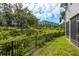 Landscaped backyard featuring green lawn and black metal fence, providing a serene outdoor space at 321 Barbara Cir, Belleair, FL 33756