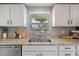 A well-lit kitchen featuring a stainless steel sink, granite countertops, and white cabinets with black hardware at 4307 Foxglen Ln, Tampa, FL 33624
