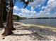 Sandy beach with a blue kayak, clear water, and shade trees at 5110 Corvette Dr, Tampa, FL 33624