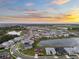 An aerial view of the neighborhood, lake, and surrounding landscape at 8612 Ivy Stark Blvd, Wesley Chapel, FL 33545