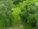 This aerial shot features a dog park with benches and plenty of shady trees at 8749 Drummer Plank Dr, Wesley Chapel, FL 33545