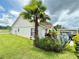Home exterior with lush landscaping, a palm tree, and a well-maintained lawn at 10636 Millriver Dr, New Port Richey, FL 34654