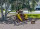 Community playground with multiple yellow slides, climbing structures, picnic tables, and seating areas for families to enjoy at 13735 Wineberry Dr, Dade City, FL 33525