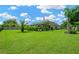 Expansive backyard with lush green lawn, mature landscaping, and a private setting at 1649 Ledgestone Dr, Brandon, FL 33511