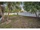 Private backyard featuring mature palm trees, lush greenery, and a privacy fence at 2010 Groveland Rd, Palm Harbor, FL 34683