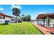 A serene backyard featuring lush green grass, tropical palm trees, and a private dock with a waterfront view at 2401 Roberta Ln, Clearwater, FL 33764
