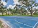 A beautifully maintained blue basketball court surrounded by mature trees and green space offers recreational opportunities at 24811 Gun Smoke Dr, Land O Lakes, FL 34639