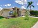 Charming home exterior with a well-manicured lawn, mature landscaping, and inviting curb appeal at 24811 Gun Smoke Dr, Land O Lakes, FL 34639