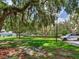 A lush green space with mature trees, palms, and manicured hedges provides a park-like setting at 24811 Gun Smoke Dr, Land O Lakes, FL 34639