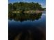 Picturesque view of a lake surrounded by lush trees reflecting in the dark water at 2691 Saddlewood Ln, Palm Harbor, FL 34685