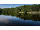 Beautiful shot of lake with calm water mirroring the trees at 2691 Saddlewood Ln, Palm Harbor, FL 34685