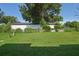 The property has a large backyard with a privacy fence, a large tree, and green grass at 38237 Eucalyptus Dr, Zephyrhills, FL 33542