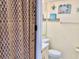 Bright bathroom featuring a tiled shower, vanity, toilet, and beach-themed decor at 4712 Marine Pkwy # 203, New Port Richey, FL 34652