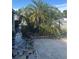 Tranquil yard with a stone-paved walkway, lush greenery, a large palm tree and multiple potted plants at 5106 Gateway Dr, Tampa, FL 33615