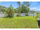 Wide-open backyard with shed and tropical landscaping at 8405 Woodbridge Blvd, Tampa, FL 33615