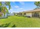 Backyard featuring a well-maintained lawn and tropical landscaping at 8405 Woodbridge Blvd, Tampa, FL 33615
