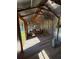 Interior view of the empty backyard shed with silver walls, wood trim, and new wood floors at 9171 Vicksburg Rd, Spring Hill, FL 34608