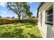 Wide backyard with lush grass and mature trees providing shade, perfect for outdoor activities and relaxation at 9312 N Tampa St, Tampa, FL 33612
