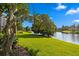 Scenic backyard with mature trees, and views of a peaceful lake, offering a serene escape at 10361 Lightner Bridge Dr, Tampa, FL 33626