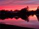 Beautiful backyard lake view at sunset at 10361 Lightner Bridge Dr, Tampa, FL 33626