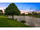 Beautiful lake view at sunset with mature trees and lush green lawn at 10361 Lightner Bridge Dr, Tampa, FL 33626
