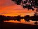 Backyard view of the lake during sunset at 10361 Lightner Bridge Dr, Tampa, FL 33626