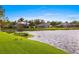 Picturesque lake view with lush greenery and homes creating a tranquil community setting at 10361 Lightner Bridge Dr, Tampa, FL 33626