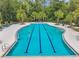 Lap pool with lounge chairs surrounded by tropical landscaping at 18144 Frame Bnd, Land O Lakes, FL 34638