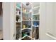 Walk-in pantry featuring organized shelves filled with assorted food items and storage solutions at 21837 Briske Morning Ave, Land O Lakes, FL 34637