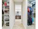 Spacious walk-in closet with built-in shelving, drawers, and convenient access to the bathroom at 21837 Briske Morning Ave, Land O Lakes, FL 34637