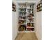 Well-organized pantry with multiple shelves perfect for food storage and organization at 3035 Countryside Blvd # 16B, Clearwater, FL 33761
