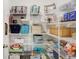 Well-organized pantry with ample shelving, maximizing storage and accessibility for all your essentials at 4918 Wild Senna Blvd, Tampa, FL 33619