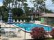 Community pool with lounge chairs and umbrellas ready for a relaxing day in the sun at 140 Nina Way, Oldsmar, FL 34677