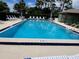 Sparkling community pool with plenty of lounge chairs for relaxing at 140 Nina Way, Oldsmar, FL 34677