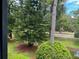 Scenic view of pond and lush green landscape at 140 Nina Way, Oldsmar, FL 34677