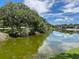 Picturesque view of a tranquil lake reflecting the sky, surrounded by trees and grassy shoreline at 140 Nina Way, Oldsmar, FL 34677