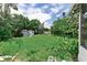 Backyard view with a shed and lush greenery offering a private outdoor retreat at 1580 Arizona Ave Ne, St Petersburg, FL 33703
